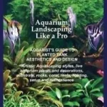 Aquascaping Aquarium Landscaping Like a Pro